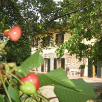 AGRITURISMO IL GELSO