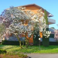 foto Residenza Cappuccini