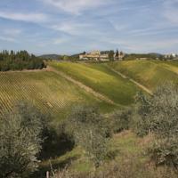 MSN RELAIS ROCCA DI CASTAGNOLI