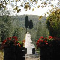 foto Fattoria Casa Sola