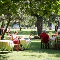 COUNTRY HOTEL MANDRA EDERA