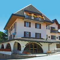 HOTEL ALPINO