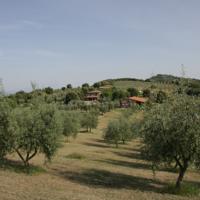 THE COUNTRY HOUSE MONTALI