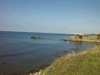 calafuria